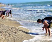 hunting-shark-teeth-beach